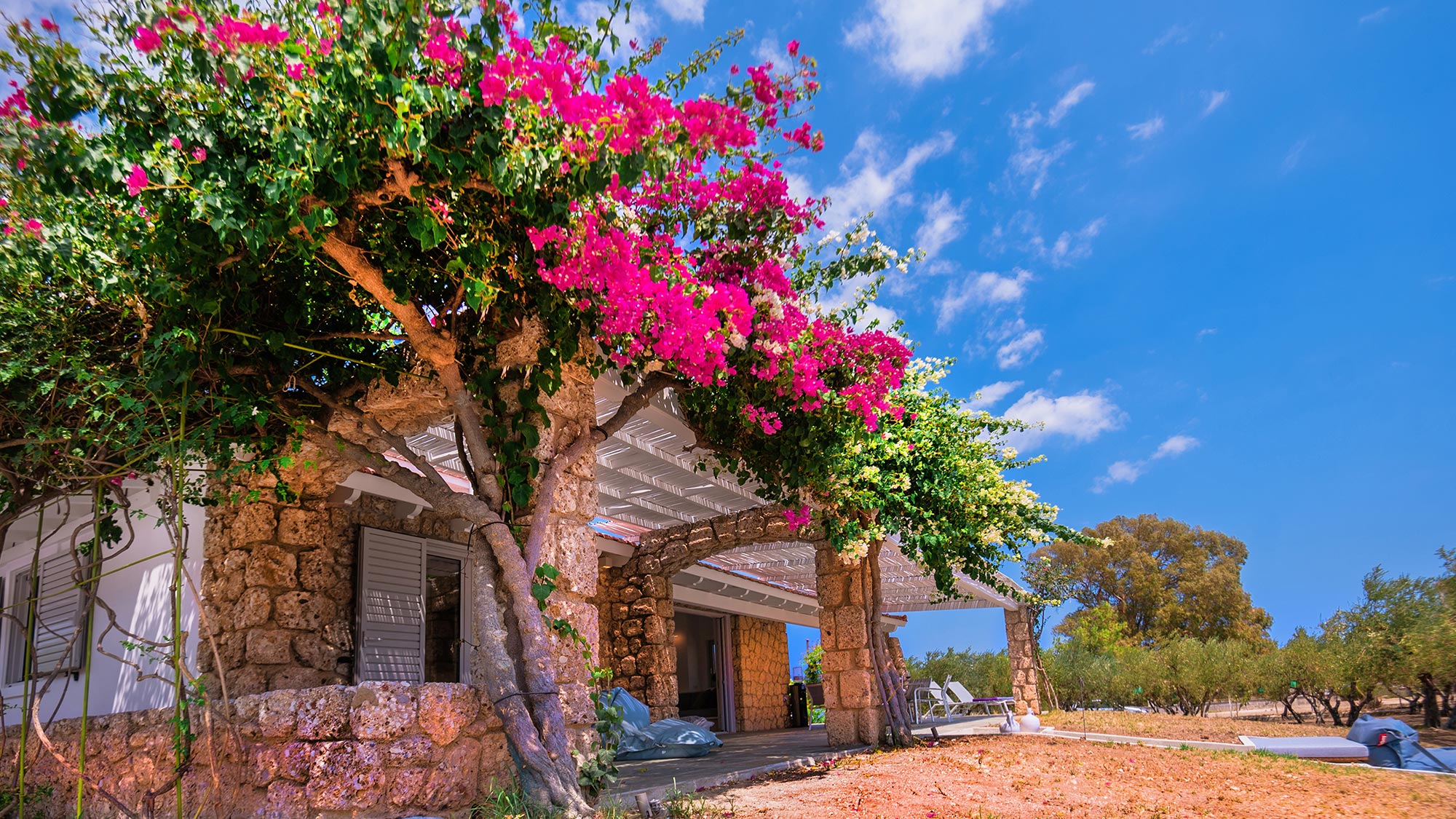 Villa Asterias - Villa Garden Villa Asterias - Villa Garden